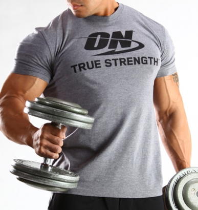Optimum Nutrition T-shirt Grey i gruppen Träningskläder / För honom / T-shirt hos Proteinbolaget.se (PB-23563)
