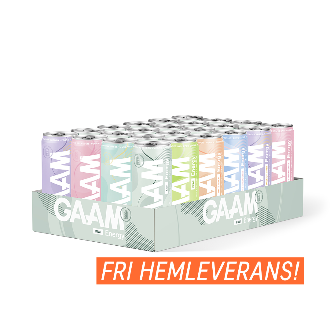 24 x GAAM Energy 330 ml Mixflak