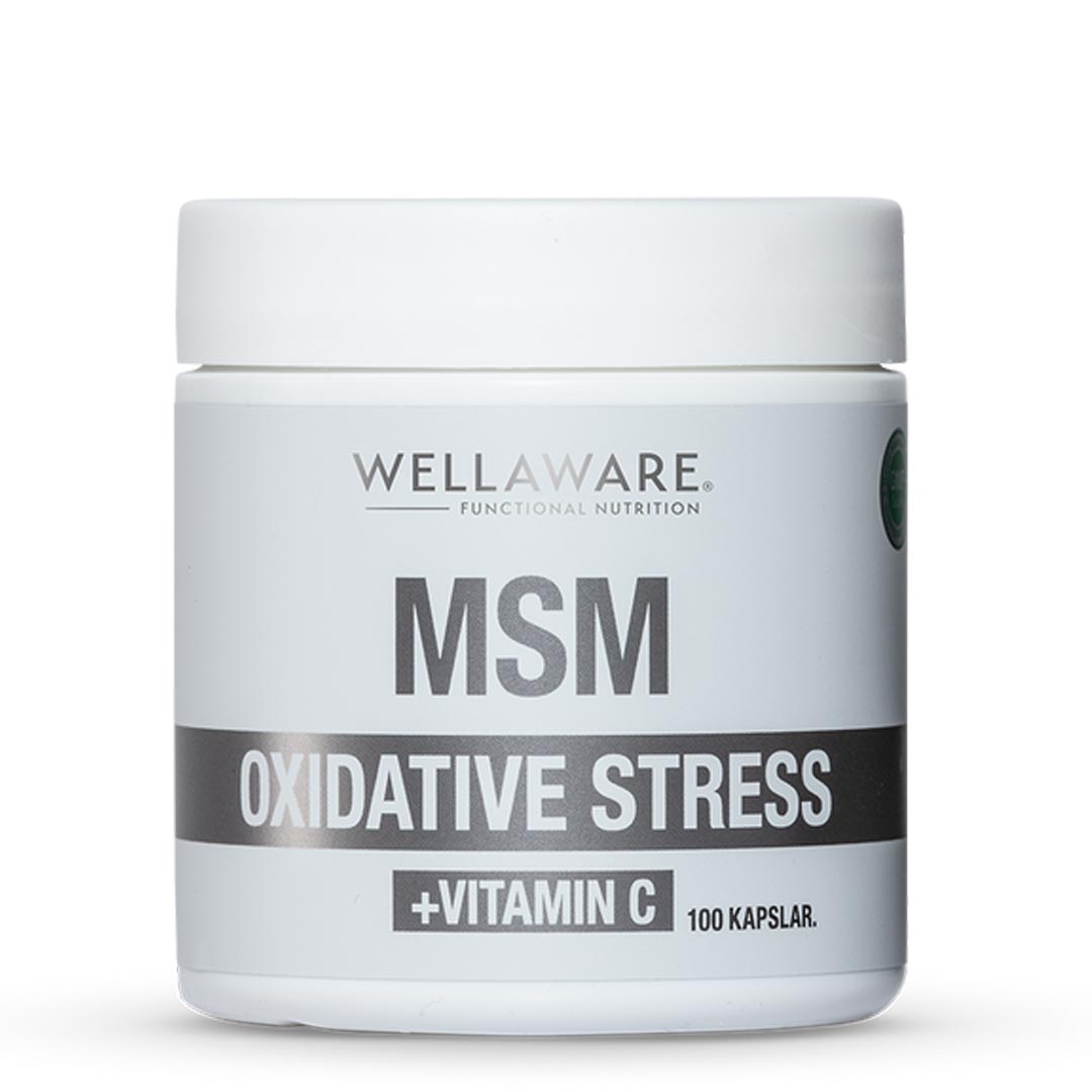 WellAware MSM + Vitamin C 100 caps