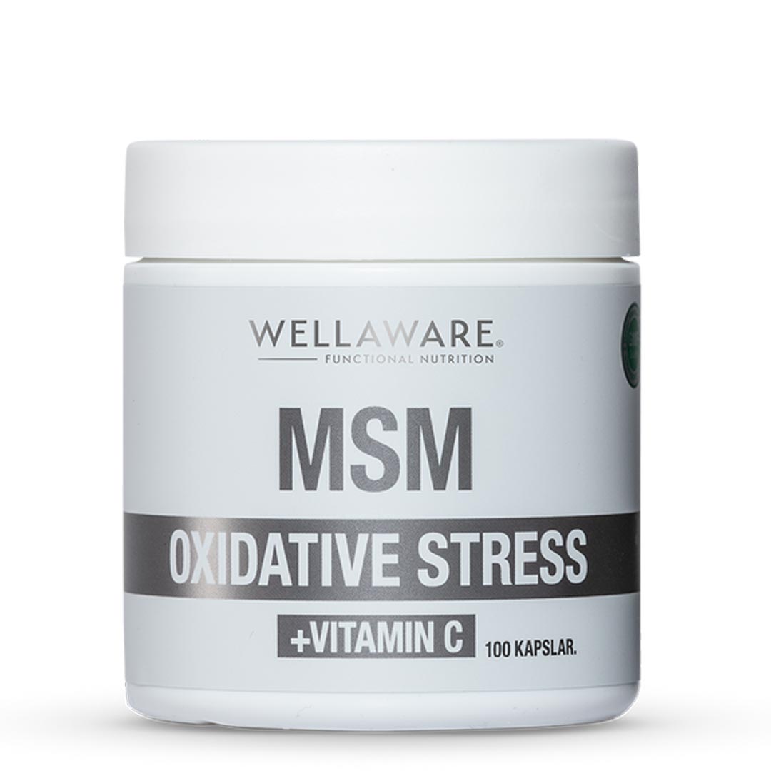  WellAware MSM + Vitamin C 100 caps