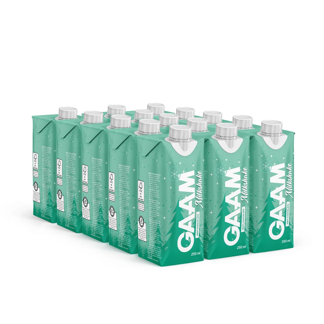 15 X Gaam Milkshake 250 Ml Mint Chocolate