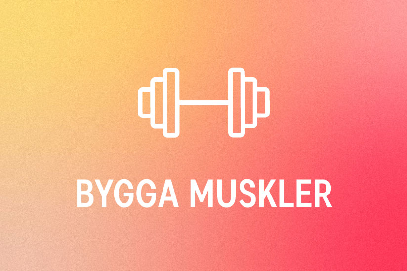 Bygga musklar