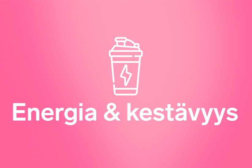 Energia kestavyys