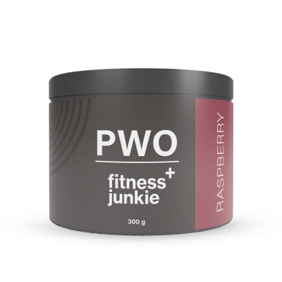3 x fitnessjunkie PWO 300 g