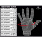C.P. Sports Wrist Wrap Glove Black/White
