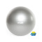 Virtufit Gym Ball + Pump 55 cm Virtufit Gym Ball + Pump 55 cm